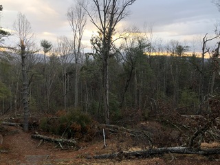 2025 Christian Men's Conference