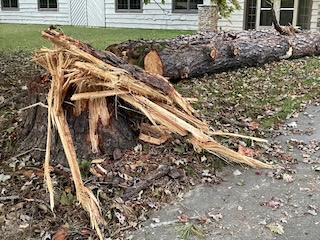 2024 Lutheridge Relief Trip 06