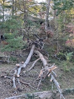 2024 Lutheridge Relief Trip 12