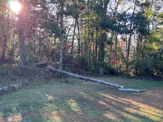 2024 Lutheridge Relief Trip 13