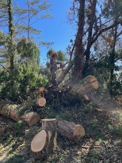 2024 Lutheridge Relief Trip 16