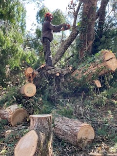 2024 Lutheridge Relief Trip 17