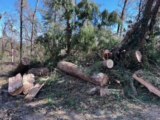 2024 Lutheridge Relief Trip 27