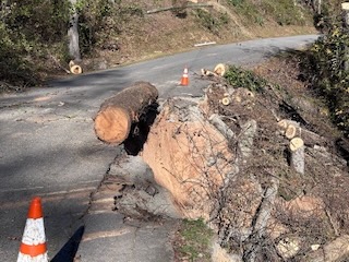 2024 Lutheridge Relief Trip 33