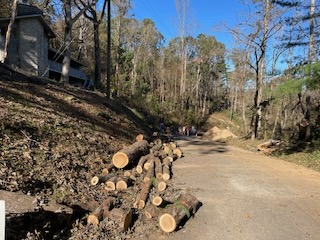 2024 Lutheridge Relief Trip 38