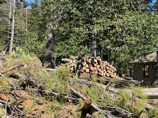 2024 Lutheridge Relief Trip 64