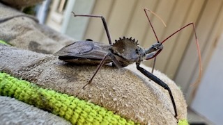 2024 Lutheridge Relief Trip 67